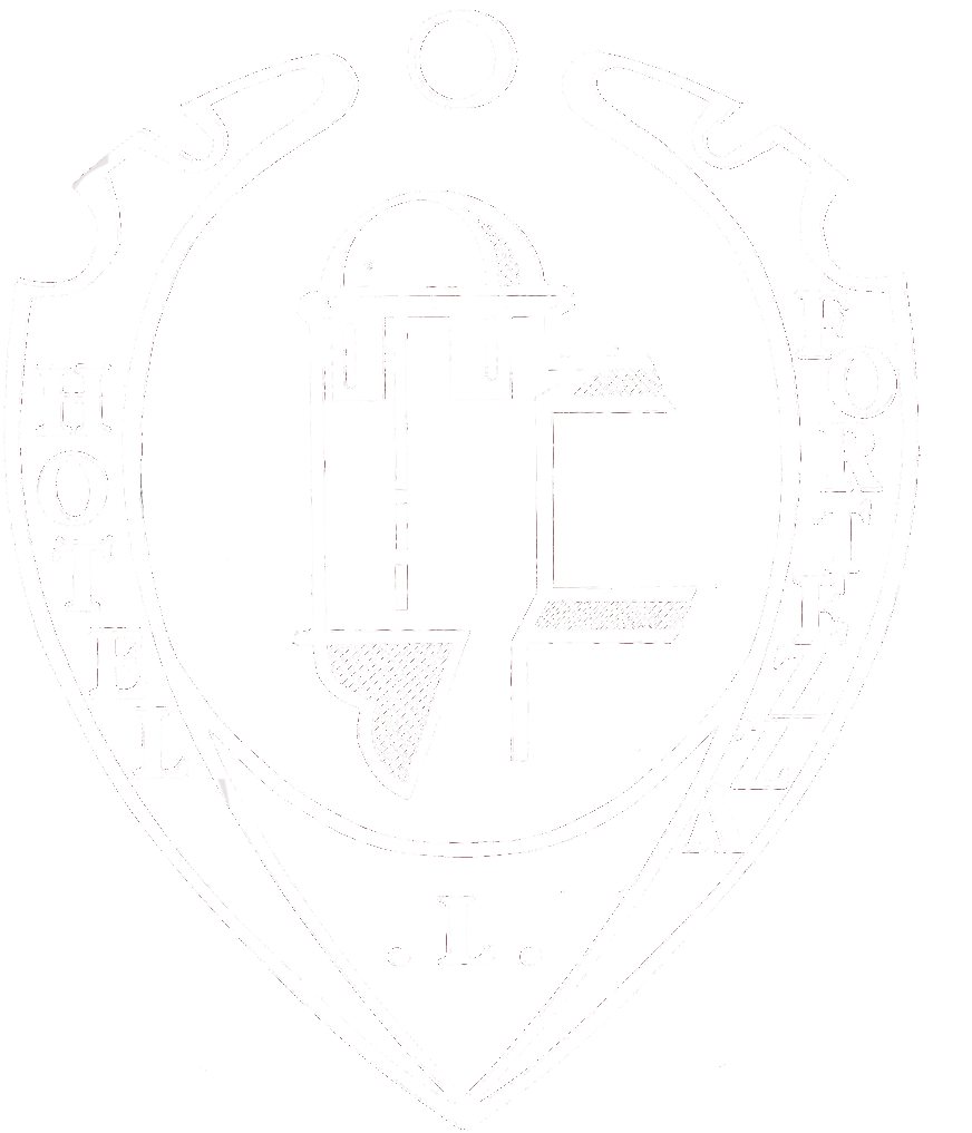 Logo Ligh Larget